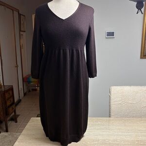 NWOT Eileen Fisher brown dress. Absolutely no flaws. 100% wool